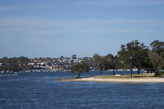 view of the beach with trees