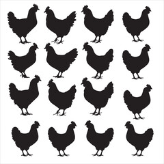 set of vector different types of chicken silhouette