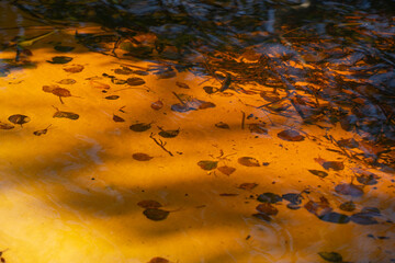 the water surface of a river or lake with sun glare at sunset
