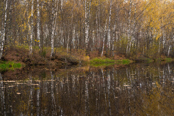 autumn landscape with river, road and clouds in the blue sky