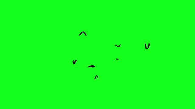Flock of flying bats on a green screen. 3D animation of flying vampire bats circling chaotically. Seamless loop. Halloween elements