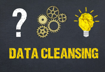 Fototapeta premium Data Cleansing 