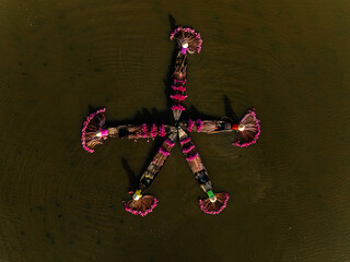 Harvesting water lilies in the floating season on Moc Hoa field, Long An. Video shot in Moc Hoa,...