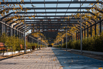 serene walkway framed by trees and structured canopies in urban park during autumn, blend of nature and modern architecture