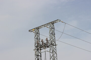 Electric Pole with Wires