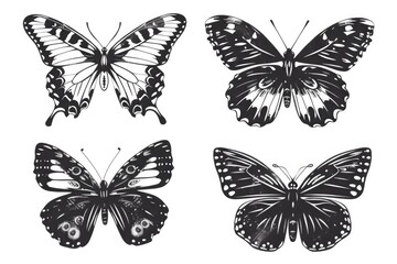 Obraz premium Four beautiful black and white butterflies on a plain background