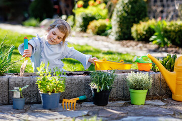Adorable little toddler girl holding garden shovel with green plants seedling in hands. Cute child...