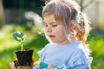 Close-up of little toddler girl holding garden shovel with green plants seedling in hands. Cute...