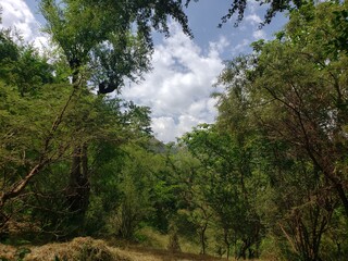 مناظر طبيعية 