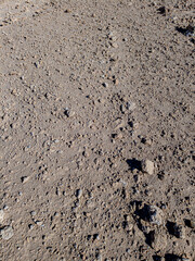 Background of stones on sand. Desert landscape. Alien view. Space surface. Day. Autumn. Egypt.