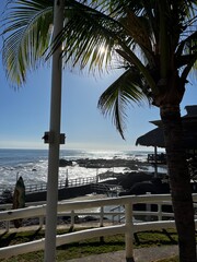 beach with palm trees and sea