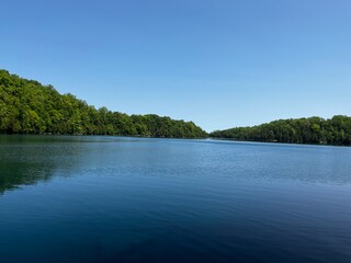 lake and forest