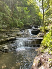 waterfall in the forest