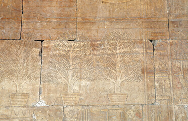 Wall relief of Incense trees in pots, Temple of Hatshepsut, Deir el-Bahari Egypt
