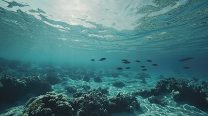 A serene view of a school of fish navigating through the gentle waves of a lagoon.