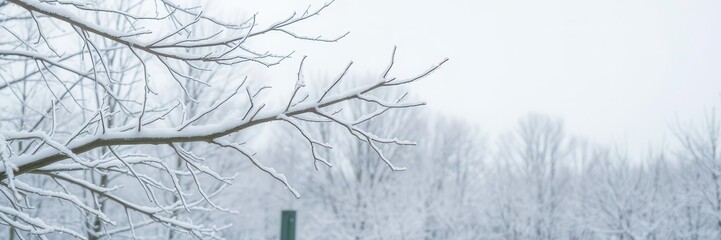 Winter wonderland scene of a snowy forest blanketed in white, with barren trees and a frosty ground, frozen, wintry