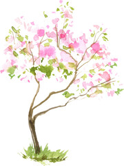 Obraz premium Watercolor illustration of a blooming spring tree, hand drawn, isolated on transparent background