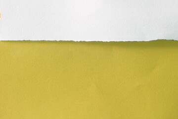 pieces of torn paper texture background, copy space for your text.