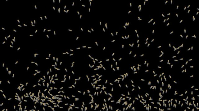 random quick movement of a group of small creature microscopic bacteria bug insect on a black background