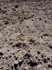 Background of stones on sand. Desert landscape. Alien view. Space surface. Day. Autumn. Egypt.