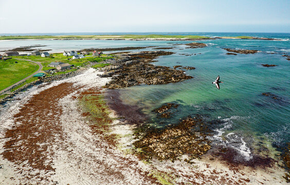 North Uist, Outer Hebrides Scotland. Looking SW over Balranald on islands west coast to Aird an Runair. RSPD nature reserve. Oyster catchers in flight