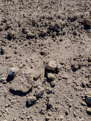 Background of stones on sand. Desert landscape. Alien view. Space surface. Day. Autumn. Egypt.