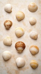 Top-down view captures the textured sandy beach with footprints, shells, and small rocks, all illuminated by gentle sunlight