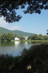 A serene lake surrounded by lush greenery, with a small house nestled on the shore, creating a peaceful and picturesque scene under a clear blue sky.