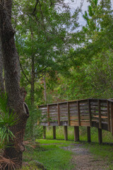 The wooden foot bridge traverses a green landscape at the New Tampa Nature Park a Autism Friendly Park in Hillsboro County Tampa Bay Florida USA