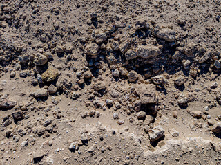 Background of stones on sand. Desert landscape. Alien view. Space surface. Day. Autumn. Egypt.