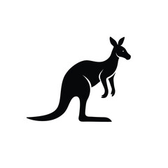kangaroo illustration