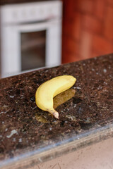 Banana - Brazilian Fruit  on the counter's Garden