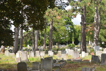 Cemeteries, graveyards and churches