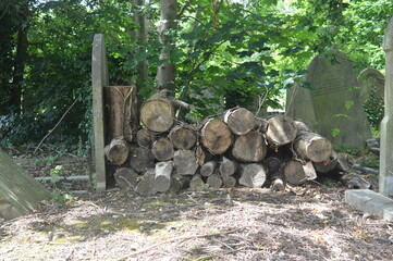 Cemeteries, graveyards and churches