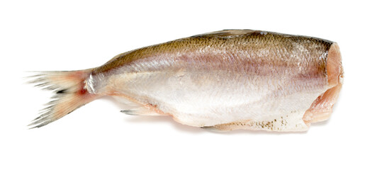 fish without head on white background