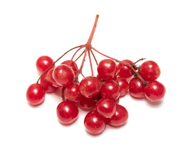 a bunch of red berries isolated on white background