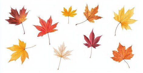 Flying and falling autumn maple leaves