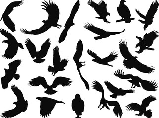 set of flying birds, eagles silhouette vector