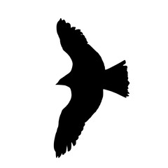 A bold silhouette of an eagle in mid-flight, showcasing its powerful wingspan and dynamic motion. Perfect for use in logos, artistic projects, wildlife education, and nature-inspired designs.