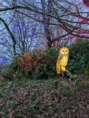 Owl lantern in winter