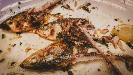 Sardine leftovers placed on a white plate, only bones are left
