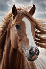 Naklejka premium Bay horse with long mane. Close up portrait. 