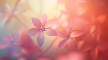 Obraz premium Delicate Pink Flowers in Soft Light - Floral Nature Photography