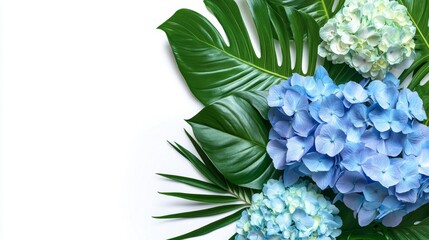 Fototapeta premium Blue Hydrangea and Chrysanthemum flowers with tropical green leaves Monstera and philodendron plant bush, floral arrangement nature wedding backdrop isolated on white background
