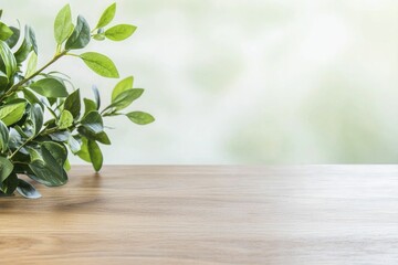 Efficient workspace organizer, modern minimalist, sleek metal, top view focus, featuring polished wood desk with light greenery accents.