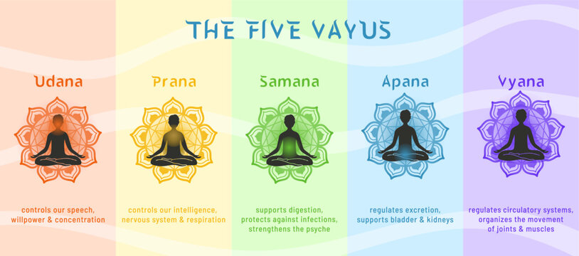 The Five Vayus of Pranic Energy Infographic