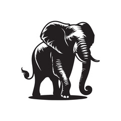 elephant vector
