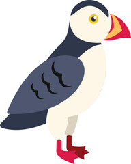 Cartoon atlantic puffin bird standing still on white background
