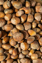 Hazelnut bowl food. Kernel raw seed. Hazel nut heap