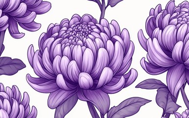 A smooth design featuring hand-illustrated chrysanthemum flowers.